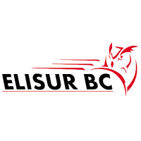 elisur